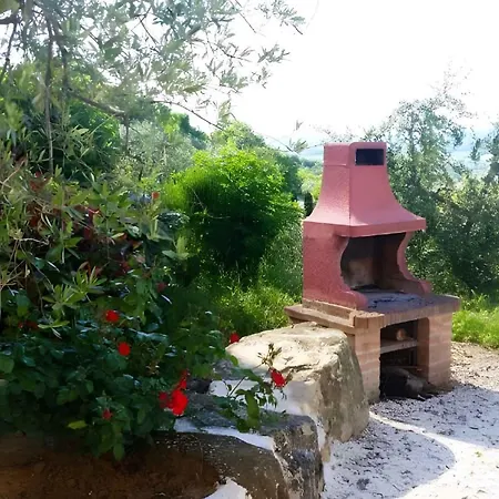 Apartment In Passaggio Di Bettona - Umbrien 43639